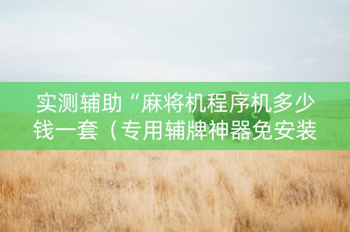 实测辅助“麻将机程序机多少钱一套（专用辅牌神器免安装）
