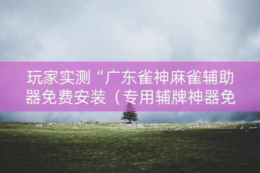 玩家实测“广东雀神麻雀辅助器免费安装（专用辅牌神器免安装）