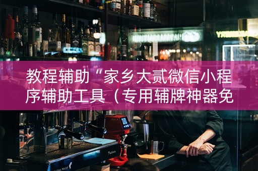 教程辅助“家乡大贰微信小程序辅助工具（专用辅牌神器免安装）
