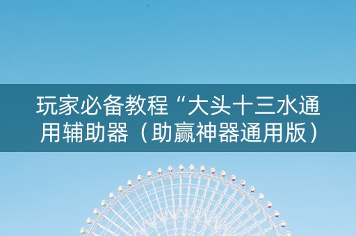 玩家必备教程“大头十三水通用辅助器（助赢神器通用版）