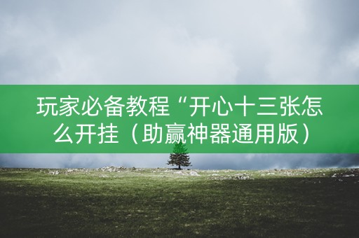玩家必备教程“开心十三张怎么开挂（助赢神器通用版）