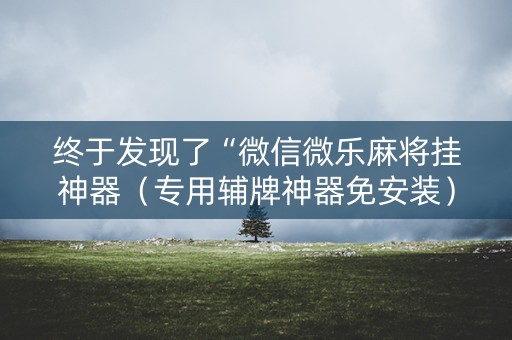 终于发现了“微信微乐麻将挂神器（专用辅牌神器免安装）