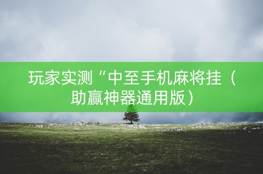 玩家实测“中至手机麻将挂（助赢神器通用版）