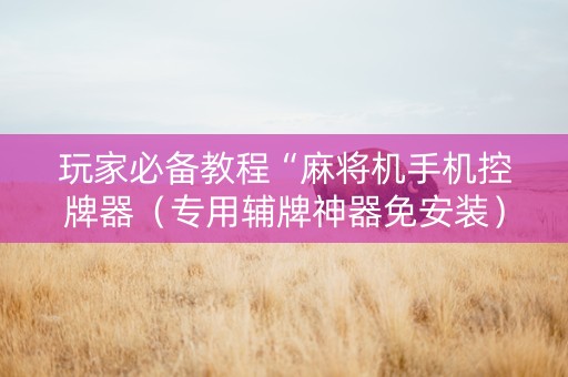 玩家必备教程“麻将机手机控牌器（专用辅牌神器免安装）