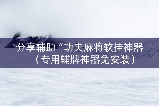 分享辅助“功夫麻将软挂神器（专用辅牌神器免安装）