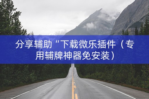 分享辅助“下载微乐插件（专用辅牌神器免安装）