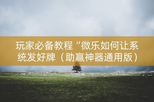 玩家必备教程“微乐如何让系统发好牌（助赢神器通用版）
