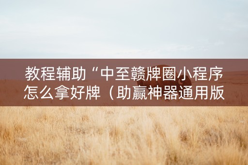 教程辅助“中至赣牌圈小程序怎么拿好牌（助赢神器通用版）