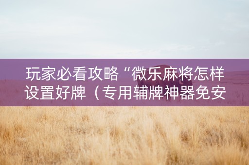 玩家必看攻略“微乐麻将怎样设置好牌（专用辅牌神器免安装）