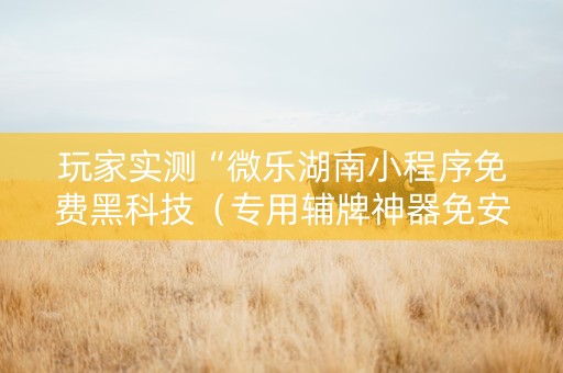 玩家实测“微乐湖南小程序免费黑科技（专用辅牌神器免安装）