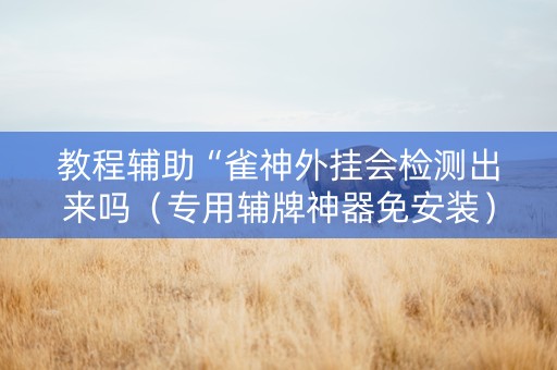 教程辅助“雀神外挂会检测出来吗（专用辅牌神器免安装）