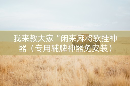 我来教大家“闲来麻将软挂神器（专用辅牌神器免安装）