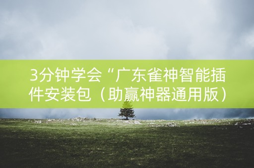 3分钟学会“广东雀神智能插件安装包（助赢神器通用版）