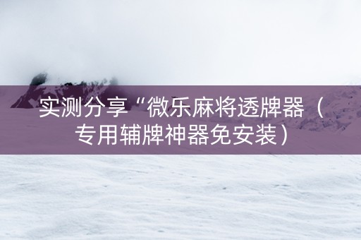 实测分享“微乐麻将透牌器（专用辅牌神器免安装）