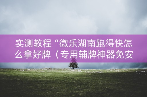 实测教程“微乐湖南跑得快怎么拿好牌（专用辅牌神器免安装）