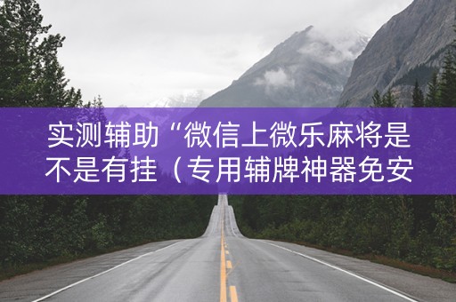 实测辅助“微信上微乐麻将是不是有挂（专用辅牌神器免安装）
