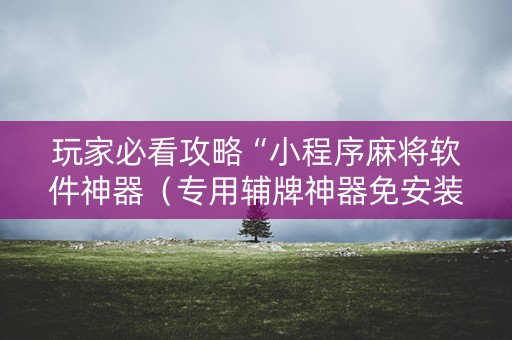 玩家必看攻略“小程序麻将软件神器（专用辅牌神器免安装）