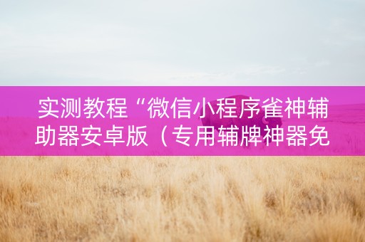 实测教程“微信小程序雀神辅助器安卓版（专用辅牌神器免安装）