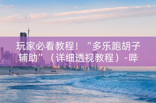 玩家必看教程！“多乐跑胡子辅助”（详细透视教程）-哔哩哔哩