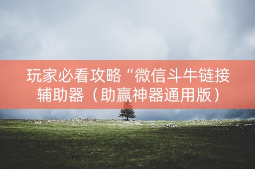 玩家必看攻略“微信斗牛链接辅助器（助赢神器通用版）