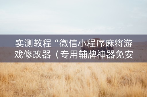 实测教程“微信小程序麻将游戏修改器（专用辅牌神器免安装）