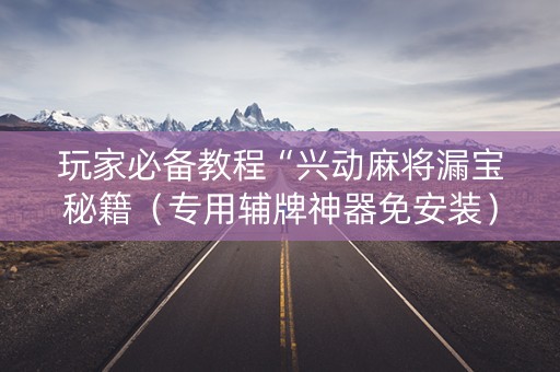 玩家必备教程“兴动麻将漏宝秘籍（专用辅牌神器免安装）
