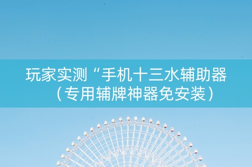 玩家实测“手机十三水辅助器（专用辅牌神器免安装）
