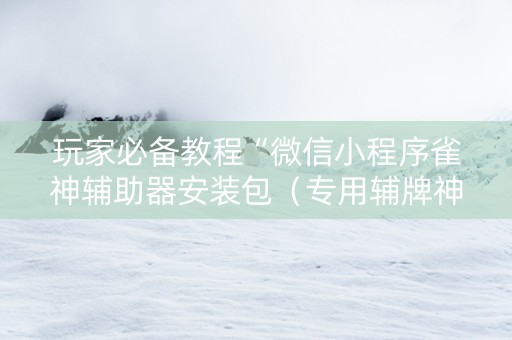 玩家必备教程“微信小程序雀神辅助器安装包（专用辅牌神器免安装）