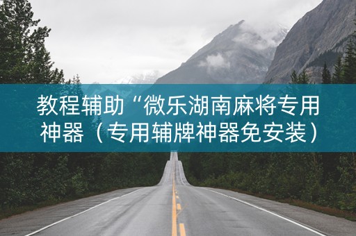 教程辅助“微乐湖南麻将专用神器（专用辅牌神器免安装）