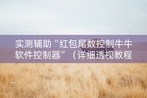 实测辅助“红包尾数控制牛牛软件控制器”（详细透视教程）-哔哩哔哩