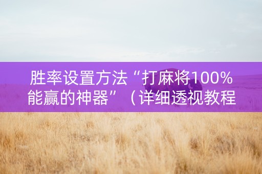 胜率设置方法“打麻将100%能赢的神器”（详细透视教程）-哔哩哔哩