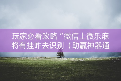 玩家必看攻略“微信上微乐麻将有挂咋去识别（助赢神器通用版）