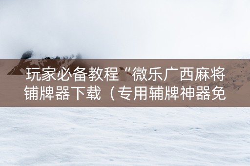 玩家必备教程“微乐广西麻将铺牌器下载（专用辅牌神器免安装）