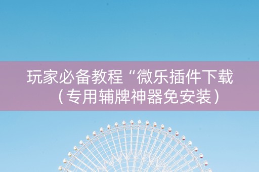 玩家必备教程“微乐插件下载（专用辅牌神器免安装）