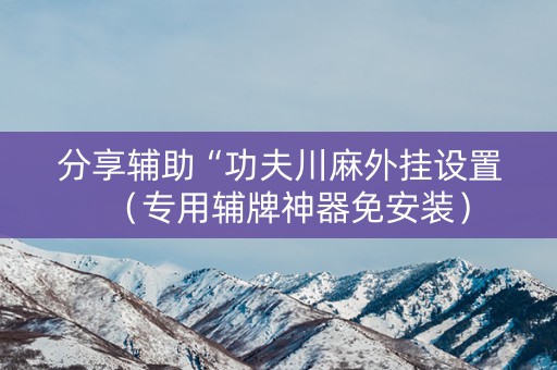 分享辅助“功夫川麻外挂设置（专用辅牌神器免安装）
