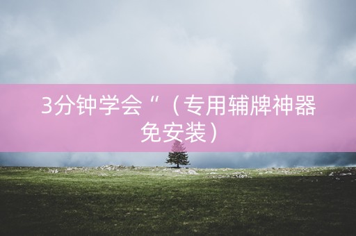 3分钟学会“（专用辅牌神器免安装）