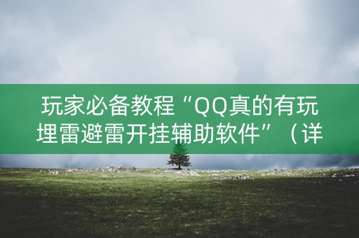 玩家必备教程“QQ真的有玩埋雷避雷开挂辅助软件”（详细透视教程）-哔哩哔哩