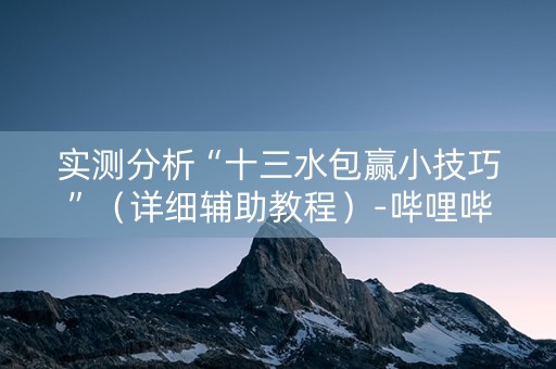 实测分析“十三水包赢小技巧”（详细辅助教程）-哔哩哔哩