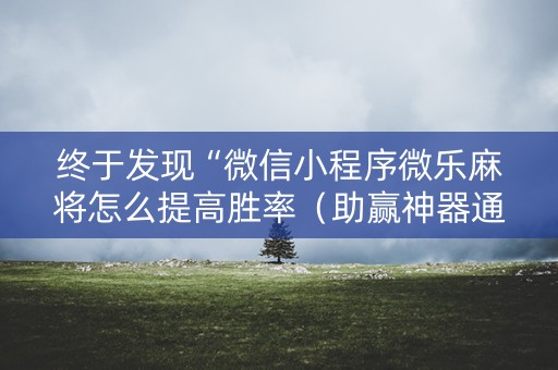 终于发现“微信小程序微乐麻将怎么提高胜率（助赢神器通用版）