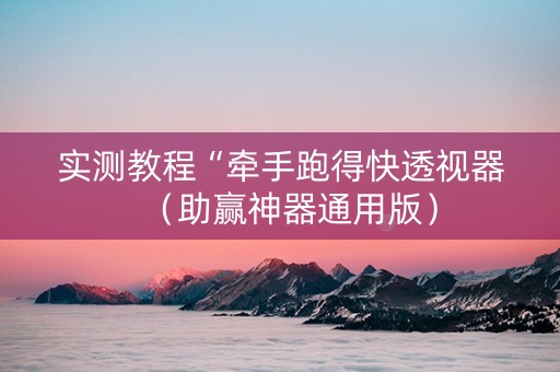 实测教程“牵手跑得快透视器（助赢神器通用版）