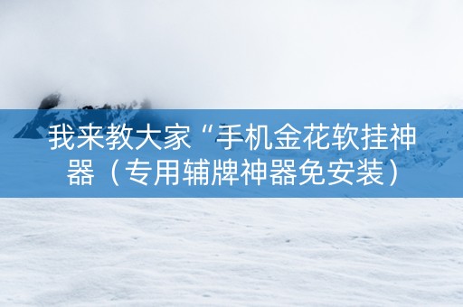 我来教大家“手机金花软挂神器（专用辅牌神器免安装）