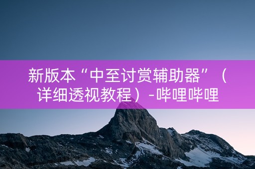 新版本“中至讨赏辅助器”（详细透视教程）-哔哩哔哩