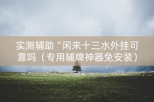 实测辅助“闲来十三水外挂可靠吗（专用辅牌神器免安装）