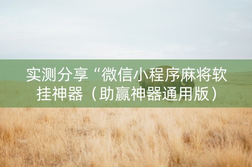 实测分享“微信小程序麻将软挂神器（助赢神器通用版）