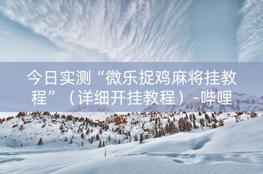 今日实测“微乐捉鸡麻将挂教程”（详细开挂教程）-哔哩哔哩