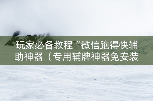 玩家必备教程“微信跑得快辅助神器（专用辅牌神器免安装）