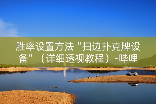 胜率设置方法“扫边扑克牌设备”（详细透视教程）-哔哩哔哩