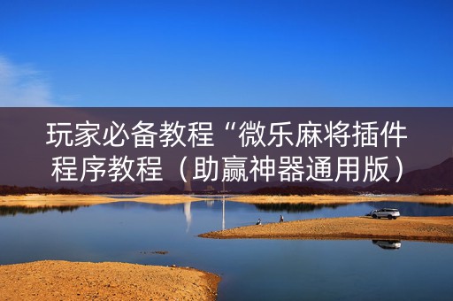 玩家必备教程“微乐麻将插件程序教程（助赢神器通用版）