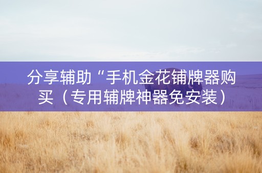 分享辅助“手机金花铺牌器购买（专用辅牌神器免安装）