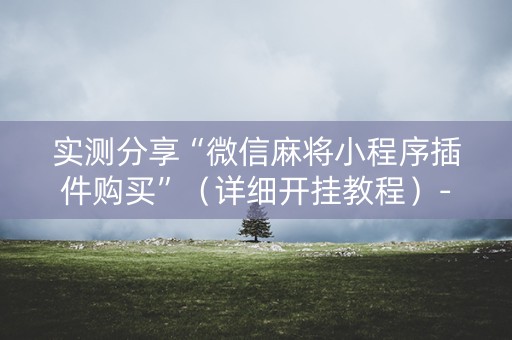 实测分享“微信麻将小程序插件购买”（详细开挂教程）-哔哩哔哩